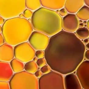 Aceite de orégano