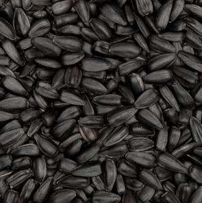 Aceite de semilla negra